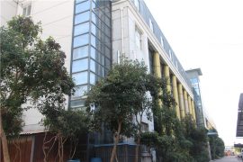 pêşangeha kargehê